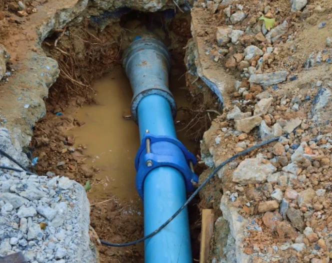 professional septic services 1